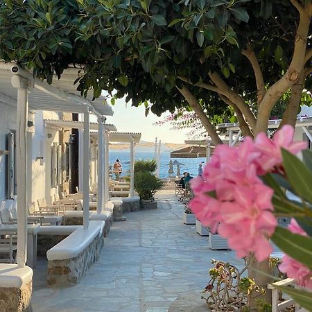 Agia Anna Beachfront Boutique Paraga  Exterior photo