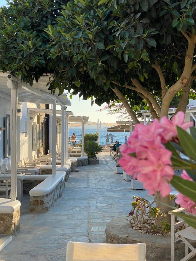 Agia Anna Beachfront Boutique Paraga  Exterior photo